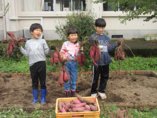 Img_2505kakou Img_2505kakou