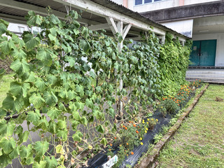 Img_2840 Img_2840