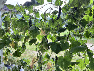 Img_2841 Img_2841