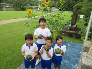 Img_3259 Img_3259